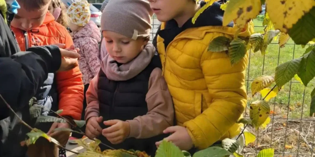 jedyneczka-przedszkole-pazdziernik-20264
